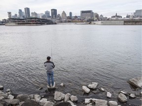 Canada's old-fashioned city sewer systems dumped nearly 900 billion litres of raw sewage into this country's waterways over five years, enough to fill up an Olympic-sized swimming pool more than 355,000 times. A fisherman dips his line into the St.Lawrence River off the shores of Montreal.