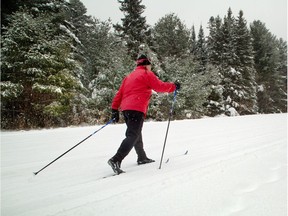 Cross-country ski trails in Gatineau Park: We all need to speak up about the environment.