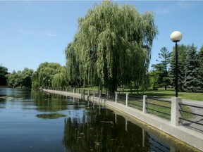 Patterson Creek Park in the Glebe