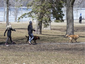 Dogs and their owners walk through Britannia Park on Monday, April 6, 2020.