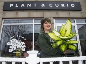 Leslie MacDonald, owner of Plant and Curio on Preston Street.