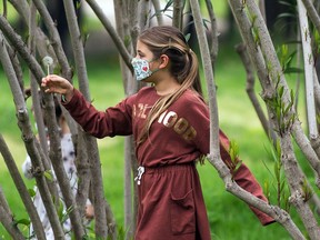 A young girl wearing a face mask, picks up a blowball as she plays in a park in Seville on April 26, 2020 amid a national lockdown to prevent the spread of the COVID-19 disease. - After six weeks stuck at home, Spain's children were being allowed out today to run, play or go for a walk as the government eased one of the world's toughest coronavirus lockdowns. Spain is one of the hardest hit countries, with a death toll running a more than 23,000 to put it behind only the United States and Italy despite stringent restrictions imposed from March 14, including keeping all children indoors. Today, with their scooters, tricycles or in prams, the children accompanied by their parents came out onto largely deserted streets.