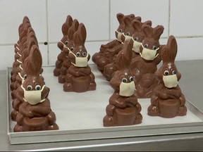 Chocolate bunnies with protective almond marzipan masks on their face stand ready for Easter in France.