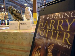 Diesel and Fyver, two owls similar to the ones in Harry Potter stories, oversee the security on Amazon.ca's shipment of "Harry Potter and the Order of the Phoenix" books in 2003.