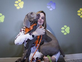 Melissa David, of Parachutes for Pets and her dog Hudson are seen in Calgary, Alta., Thursday, Feb. 6, 2020.