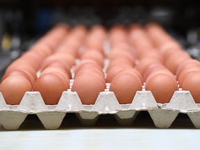 "Our egg supply chain is not at risk," says Mike von Massow, food economist at the University of Guelph.