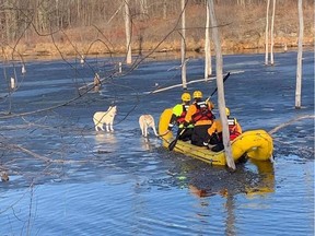 Ottawa Fire Services rescue two pet Husky dogs about 30 metres out on an ice shelf.