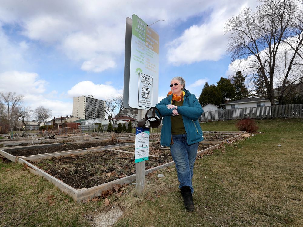 Ottawa s community gardens are closed and that could be bad news