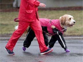 Walking in the rain.