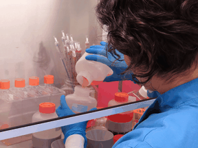 A scientist works on developing a potential COVID-19 vaccine in Oxford, England.