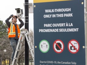 Ivan Cooke of MediaPlus installs a 24-hour time lapse camera at the corner of Preston St and the Queen Elizabeth Driveway, aimed at the nearest tulip bed in Commissioners Park. Two cameras in the park will provide a live view for people who can't see the flowers in person.