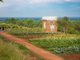 Contemporary plantings at Monticello are inspired by Thomas Jefferson’s own garden journal.