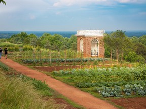 Contemporary plantings at Monticello are inspired by Thomas Jefferson’s own garden journal.