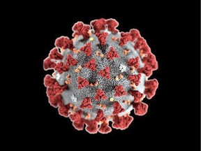 The novel coronavirus