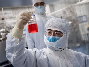 (FILES) In this file picture taken on April 29, 2020, an engineer looks at monkey kidney cells as he make a test on an experimental vaccine for the COVID-19 coronavirus inside the Cells Culture Room laboratory at the Sinovac Biotech facilities in Beijing.