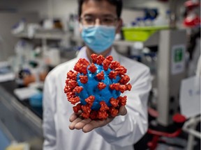 (FILES) This file photo taken on April 29, 2020 shows an engineer holding a plastic model of the COVID-19 coronavirus at the Quality Control Laboratory at the Sinovac Biotech facilities in Beijing. - Sinovac Biotech is conducting one of the five clinical trials of potential vaccines that have been authorised in China. China would make any coronavirus vaccine it developed a "global public good" once it was put into use, President Xi Jinping told the World Health Assembly on May 18, 2020.