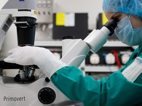 A scientist examines COVID-19 infected cells under a microscope during research for a vaccine against the coronavirus disease (COVID-19) at a laboratory of BIOCAD biotechnology company in Saint Petersburg, Russia May 20, 2020.