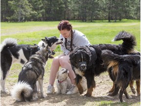 Erica Mancini interacts with a group of dogs at the Bruce Pit dog park on the first day that it was available to dog owners.