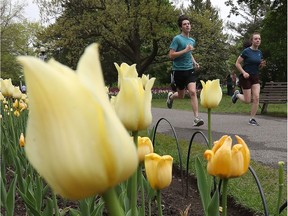 Runners pass by a bed of tulips at Dow's Lake Park on Monday.