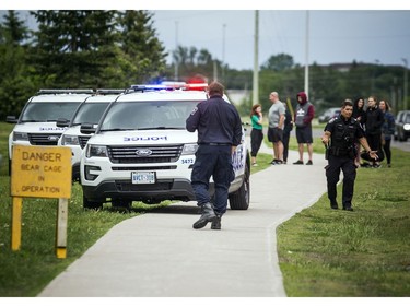 The NCC, Ottawa fire and Ottawa police all came together to get a bear out of a tree and relocate it from Terry Fox Drive in Kanata on Saturday, May 30, 2020. ASHLEY FRASER, Postmedia