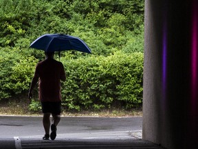 A man walks along the NCC trail near Mill Street Brewery in the rain.