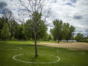 Circles painted on the grass at Mooney's Bay