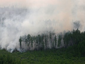 FILE PHOTO: An aerial view shows the Taiga wood burning near the village of Boguchany, about 560 km (348 miles) northeast of Russia's Siberian city of Krasnoyarsk, June 2, 2011.