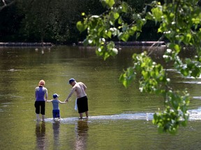 A family walks across the Rideau River to cool down.