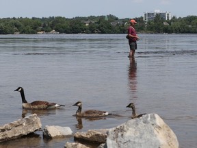 A man keeps cool while fishing in the Ottawa River.