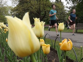 Running by the tulips at Dow's Lake Park.