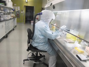 Scientists work in the VIDO-InterVac laboratory where the organization is currently researching a vaccine for the novel coronavirus, at the University of Saskatchewan in Saskatoon.