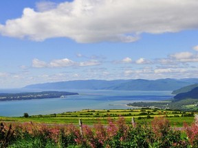 Views like this of the Charlevoix coast and nearby Isle-aux-Coudres are drawing people away from the city this summer, much to the relief of the tourism and lodgings industry in the region.