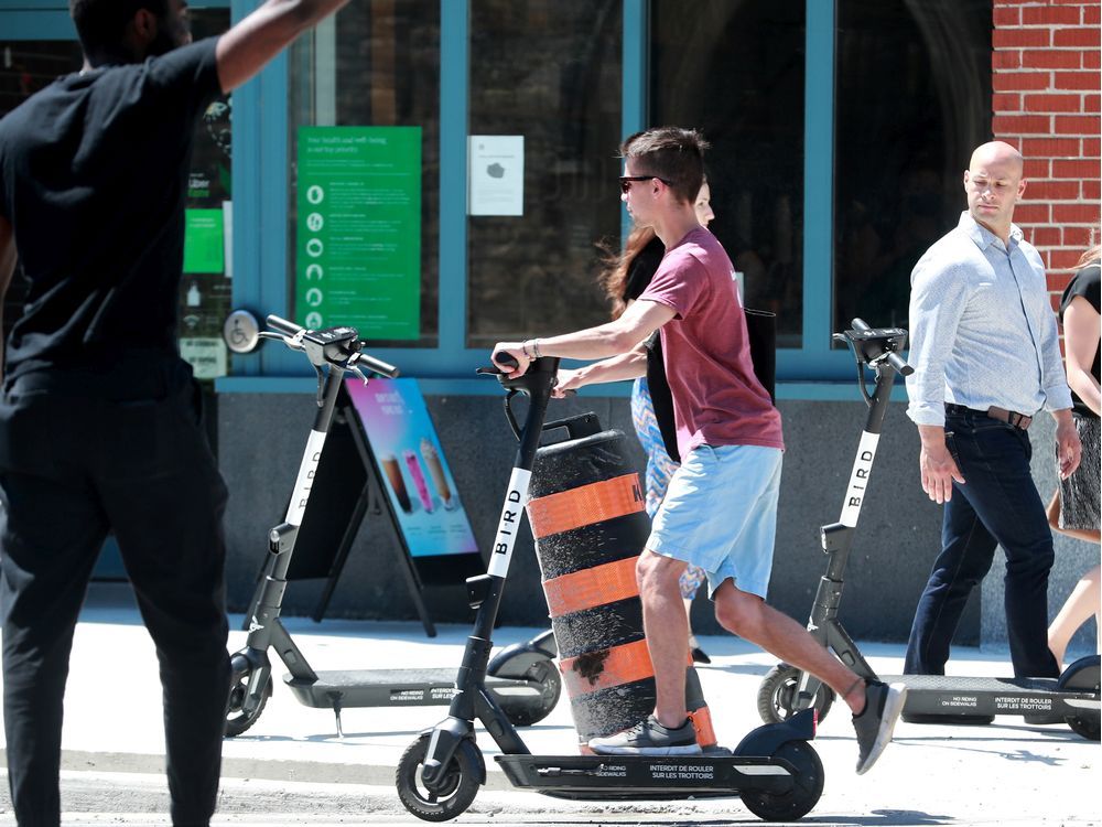 40,000 Ottawans used escooters this summer Ottawa Citizen