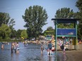 Mooney's Bay beach was a busy place on Saturday.