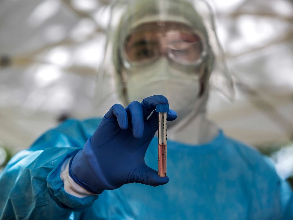 COVID19 New cases remain elevated in Ottawa and province Ottawa Citizen