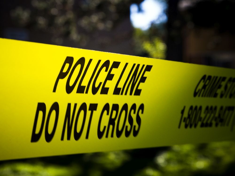 Violent crime up in 2022, says Ottawa Police Service annual report, to ...