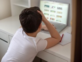 Files: Student using a laptop computer