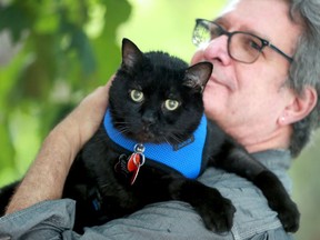 OTTAWA - AUG. 5, 2020 -  Danny Taurozzi is the owner of Coal, the last surviving Parliament Hill cat.  Julie Oliver/POSTMEDIA