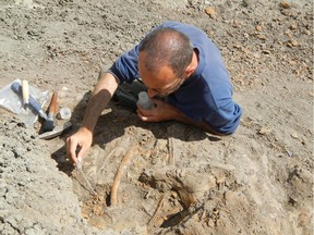 File photo: Museum Research Assistant Dr. Scott Rufolo excavating a site of Centrosaur fossils in the bonebed, June 2015.