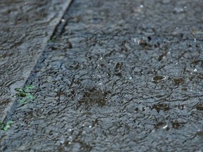 Raindrops are seen on a footpath.
