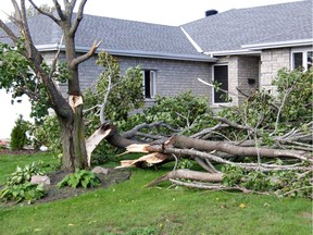 A severe storm with damaging winds, possibly a microbust, tore through the Drive-In Road area of Laurentian Valley on Sunday afternoon about 3 p.m., damaging homes, properties, trees and fences.