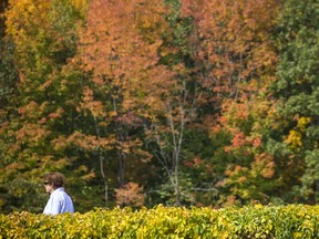 File photo/ The fall colours at Mackenzie King Estate  in Gatineau Park, September 26, 2020.