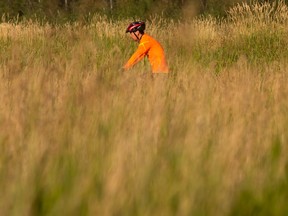 A cyclist rides on a trail through a field of tall grass.