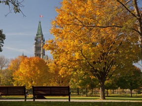 The stunning colours of Fall Rhapsody can be enjoyed right in the heart of the nation’s capital from places like Major’s Hill Park.