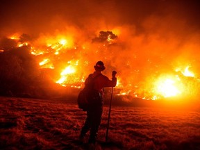 A firefighter works at the scene of the Bobcat Fire burning on hillsides near Monrovia Canyon Park in Monrovia, California on September 15, 2020.