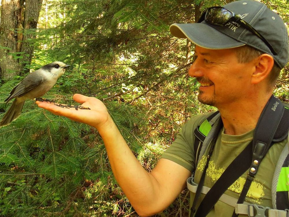 Ontario's Cormorant Hunt: Setting the Record Straight - Ontario Nature