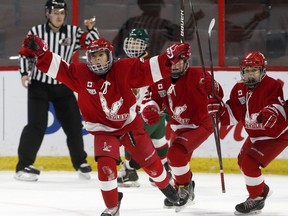 Files: The Eastern Ontario Wild (white) took on the Toronto Eagles (red) during the Major PeeWee AAA Championship game at the Bell Capital Cup at the Canadian Tire Centre in Ottawa Monday Dec 31, 2018.