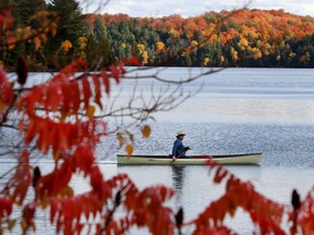 A paddler enjoys Meech Lake in Gatineau Park in the fall of 2019.
