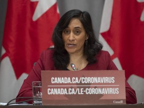 Public Services and Procurement Minister Anita Anand speaks during a news conference in Ottawa, Tuesday March 31, 2020.