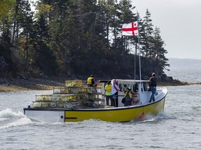 Files: Members of Potlotek First Nation head out into St. Peters Bay from the wharf in St. Peter's, N.S. as they participate in a self-regulated commercial lobster fishery.